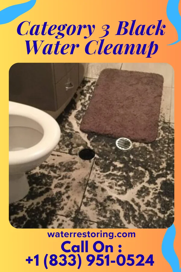 Category 3 Black Water Cleanup in Adeline, IL
