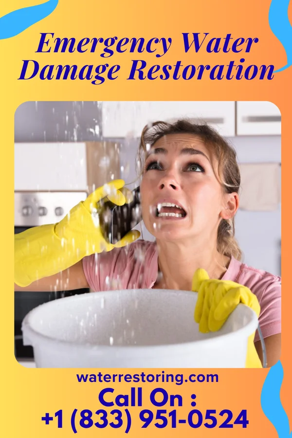 Emergency Water Damage Restoration in Adeline, IL