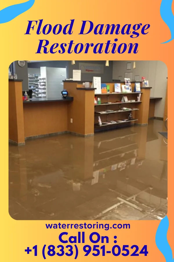 Flood Damage Restoration in Adeline, IL
