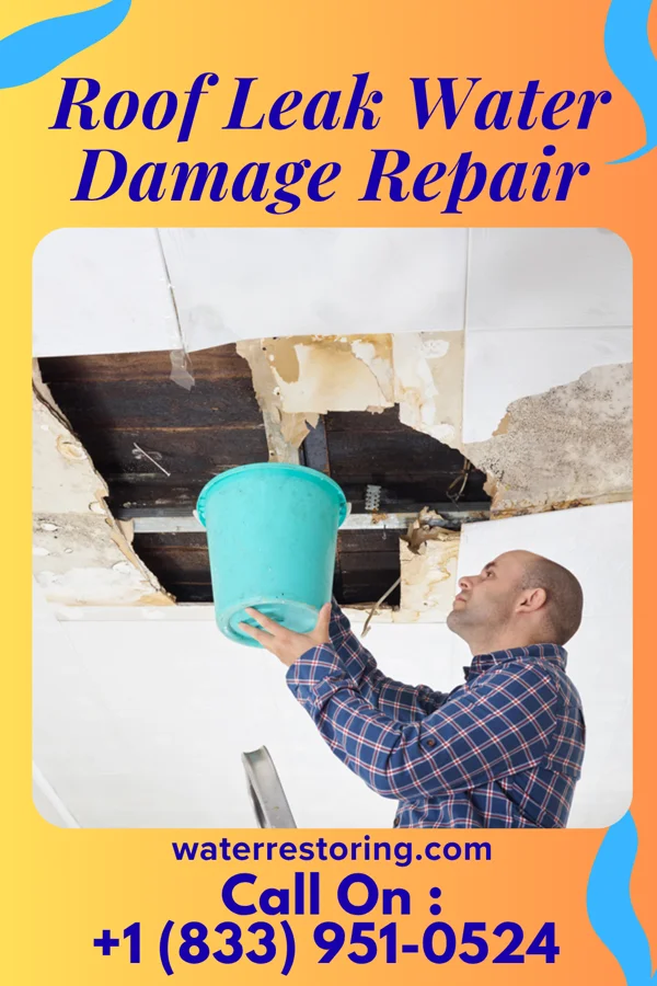 Roof Leak Water Damage Repair in Adeline, IL